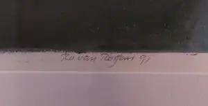 Ru van Rossem - Feestdag in Rajasthan kopen? Bied vanaf 150!