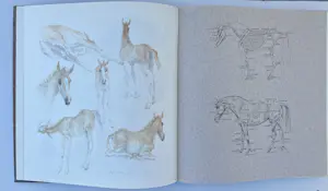 Piet Klaasse - Concours Hippographique kopen? Bied vanaf 50!