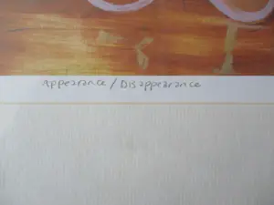 Karin Bos - Appearance / disappearance kopen? Bied vanaf 30!