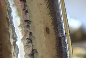 Antieke zilveren theepot, Bonebakker & Zoon Amsterdam, 1817-1825 kopen? Bied vanaf 1250!