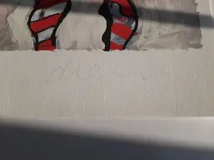 Peter Diem - Kleurenzeefdruk COW RED Hand gesigneerd. kopen? Bied vanaf 30!