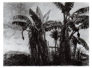 Aat Veldhoen - Afrikaans Landschap kopen? Bied vanaf 35!