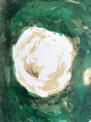 Marian Schutte - Kleurenlitho | 'Zonder titel' | 1992 kopen? Bied vanaf 50!