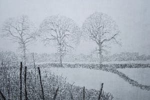 Charles Donker - 4e staat, proefdruk: Struiken en stammen in sneeuwlandschap kopen? Bied vanaf 395!