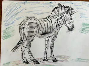 Cornelis Jan Mension - Tekening van een zebra, gemaakt in Artis kopen? Bied vanaf 80!