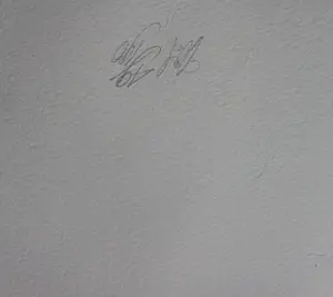 Peter Vos - litho: gevoel - 1975 kopen? Bied vanaf 175!