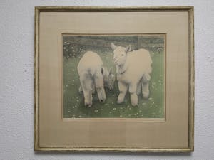 Frans Everbag - Zonder titel "Twee geitjes.", Jaren '30. kopen? Bied vanaf 60!