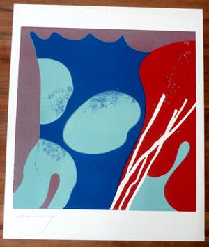 Guido de Waart - linosnede - 1969 kopen? Bied vanaf 15!