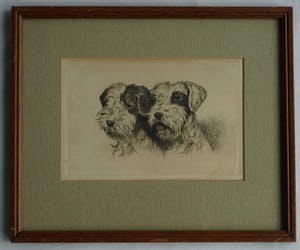Niet of onleesbaar gesigneerd - Ingelijste ets , 2 Honden , 2 portretten - oud kopen? Bied vanaf 1!