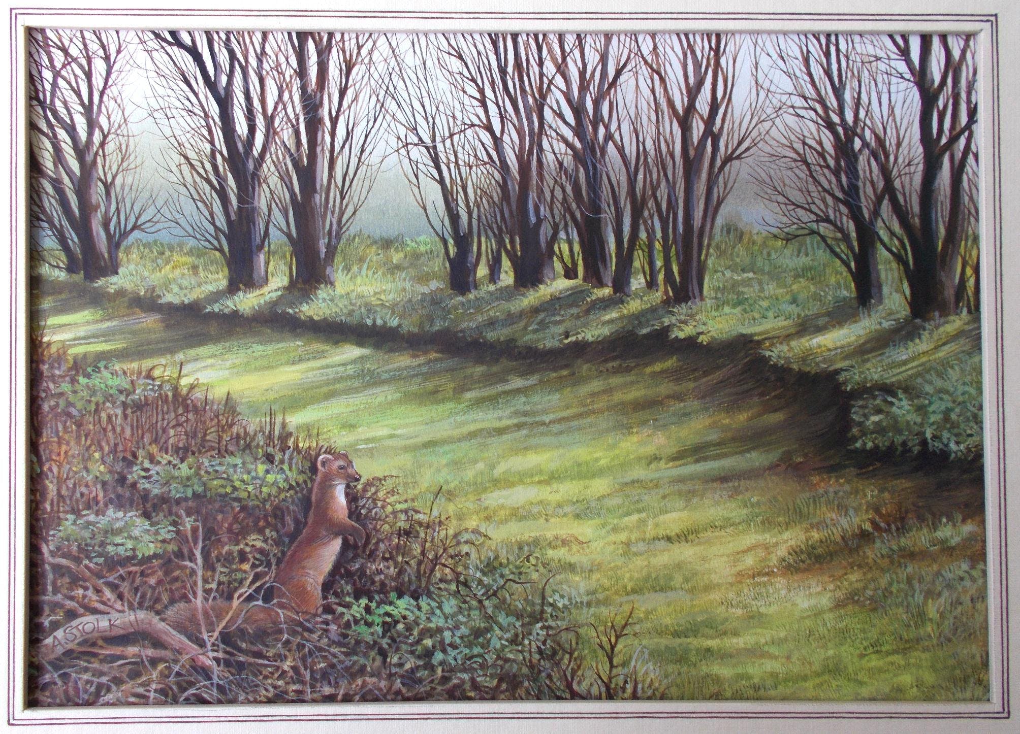 Ari Stolk - Boommarter in de Scheelhoek verkocht voor € 75!