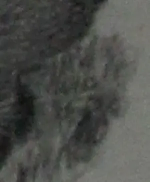 Huib de Ru - Potloodtekening: Naakte dame kopen? Bied vanaf 150!