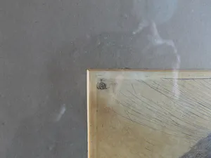 Pieter Hofman - Graf van Viking Koning kopen? Bied vanaf 150!