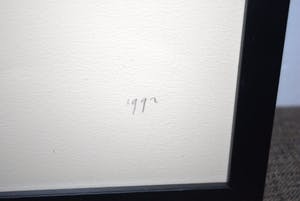 Sam Drukker - LITHO naakt >extra> ETS door Leonor FINI kopen? Bied vanaf 75!