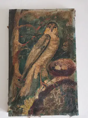 Niet of onleesbaar gesigneerd - Roofvogel bij het nest kopen? Bied vanaf 10!