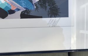 Karel Appel - Zeefdruk, Uit de 'Stripes' serie - 31/77 - handgesigneerd kopen? Bied vanaf 475!