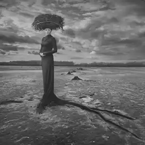 Dariusz Klimczak - 'Leeg Nest' (2013) verkauft für € 40!