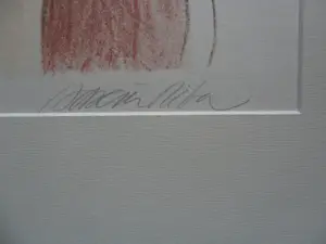 Enric Adsera Riba - litho: naakt: Virginia - 1996 kopen? Bied vanaf 60!