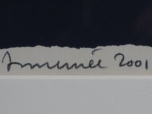 Hans Innemee - Kwaak, kwaak kopen? Bied vanaf 50!