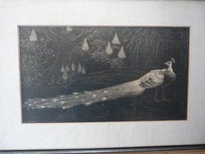 Henri Verstijnen - De Pauw. kopen? Bied vanaf 65!