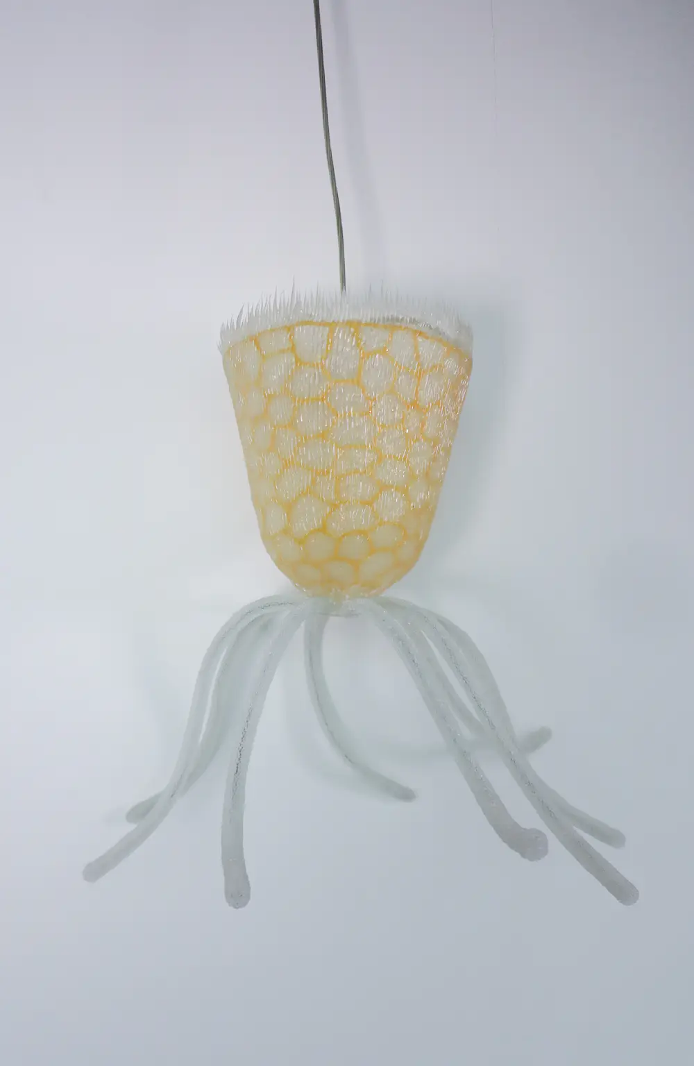 Jürgen Reichert (1969)