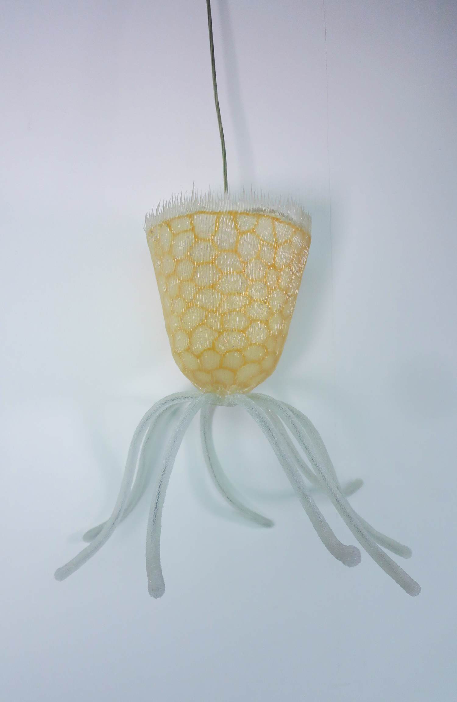 Jürgen Reichert - Siliconen hanglamp, Stentea Aurea kopen? Bied vanaf 150!