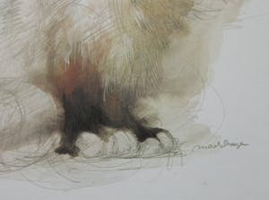 Niet of onleesbaar gesigneerd - Mads Stage - 4 Studies of Cats kopen? Bied vanaf 1!