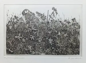 Willem Minderman - Planten, ets kopen? Bied vanaf 45!