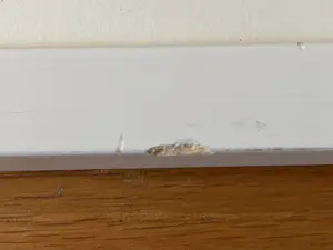 Sam Middleton - Zonder titel kopen? Bied vanaf 98!