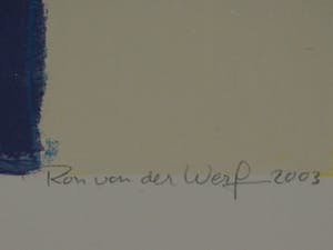 Ron van der Werf - Mysterie i kopen? Bied vanaf 50!