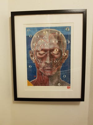 Harald Vlugt - " lief" kopen? Bied vanaf 50!