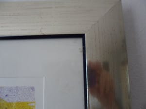Jan Cremer - Litho. Tulpen, kopen? Bied vanaf 100!