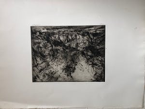 Wim Steijn - landschap/bos kopen? Bied vanaf 15!