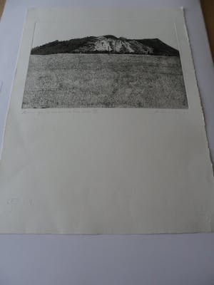 Jan Hein van Rooy - Ets, Borinage, de adelaar van Frameries kopen? Bied vanaf 40!