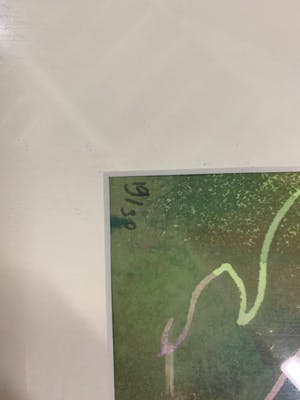 Marjan Jaspers - Bloemen geel en rood kopen? Bied vanaf 20!