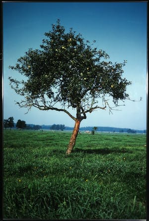 Paul Huf - C-Print, Drenthe - Ingelijst (Zeer groot) kopen? Bied vanaf 1!