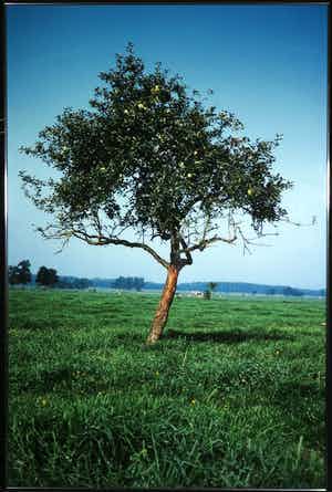 Paul Huf - C-Print, Drenthe - Ingelijst (Zeer groot) verkocht voor € 1!