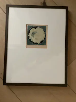 Ank Spronk - Een roos uit mijn tuin kopen? Bied vanaf 30!