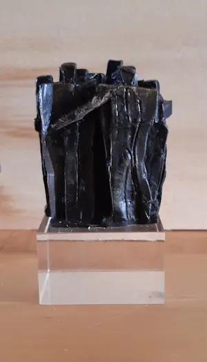 Frans Steginga - Samen staan we sterk kopen? Bied vanaf 45!