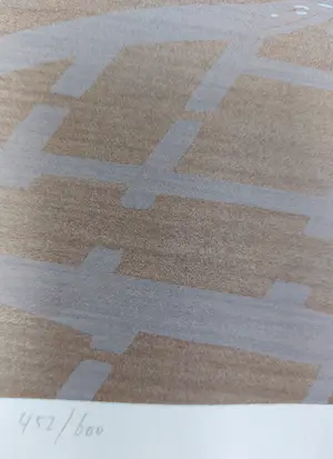 Jeroen Henneman - Land in vogelvlucht kopen? Bied vanaf 80!