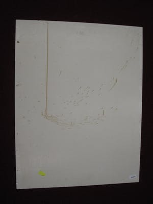 Niet of onleesbaar gesigneerd - Gesigneerde grote Litho "de Baadster" glmtd. oplage 100 stuks kopen? Bied vanaf 10!