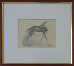 Jan Bezemer - GAZELLE / ZW-W LITHO / 35x39cm / KADER / SIG kopen? Bied vanaf 35!