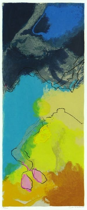 Henk van Vessem - Kleurenzeefdruk ZEEDRIFT I Handgesigneerd. kopen? Bied vanaf 45!