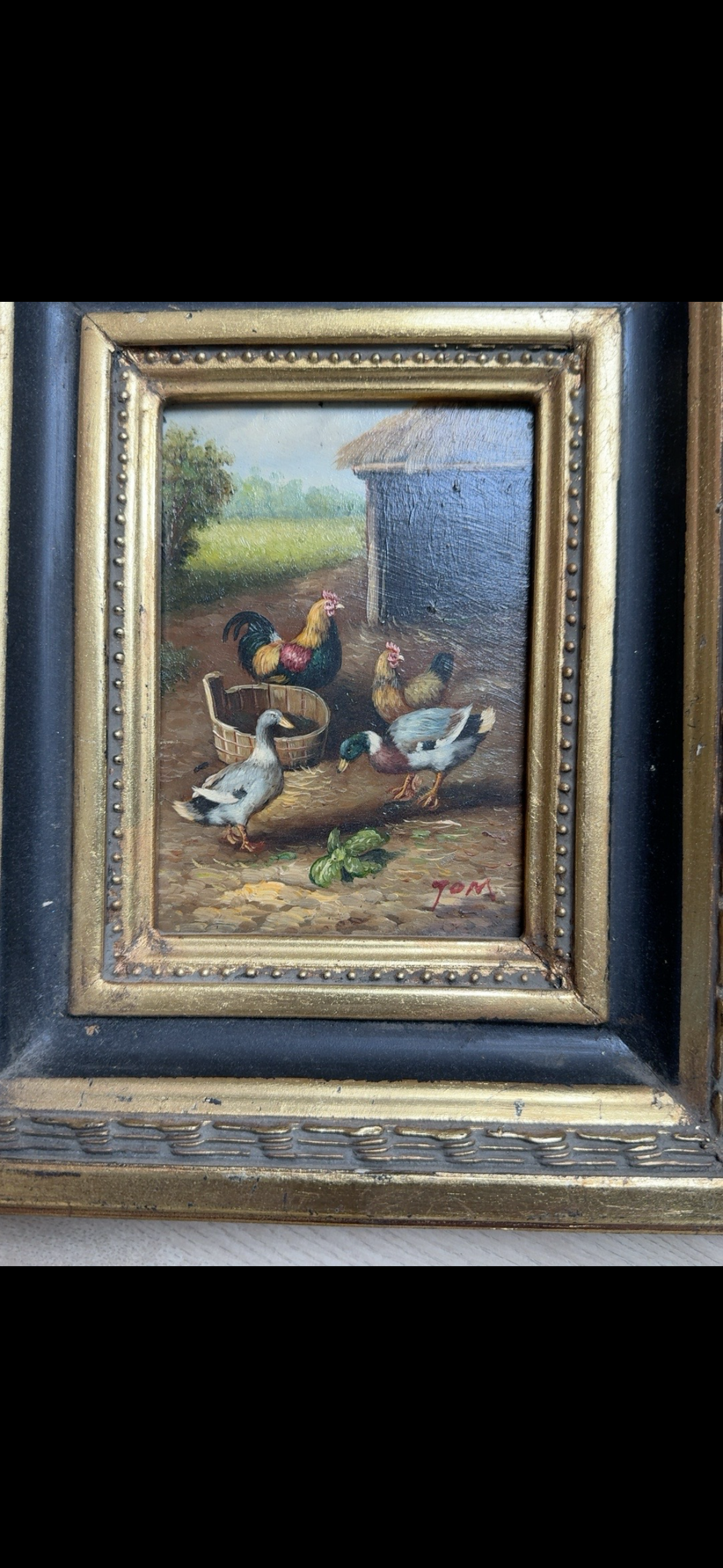 Jan Bedijs Tom - Kippen en eenden kaufen? Bieten Sie von 1750!