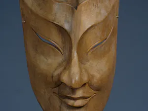 Niet of onleesbaar gesigneerd - Japans theater masker, Noh! kopen? Bied vanaf 1!