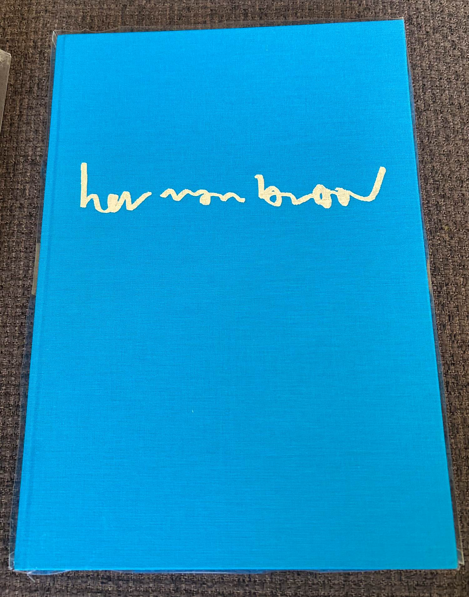 Herman Brood - Woedend Licht + zeefdruk kopen? Bied vanaf 125!