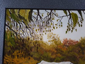 Jan Teunissen - Twee kalveren in weiland kopen? Bied vanaf 200!