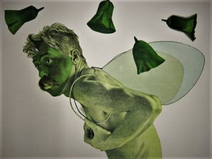 Rodolfo Meli - Toscaans Graficus - Groot Gesigneerd Litho " Zelfportret als Icarus in groen" kopen? Bied vanaf 1!