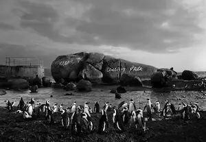 Robert Barry - 10 items uit de serie point d'ironie kopen? Bied vanaf 1!