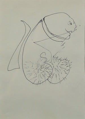 Hans Kanters - Tekening, Zonder titel - Ingelijst (+ handgesigneerde monografie) kopen? Bied vanaf 1!