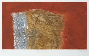 Thierry Buisson - Kleurenets, Petit royaume kopen? Bied vanaf 20!